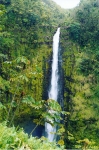 Akaka Falls 2