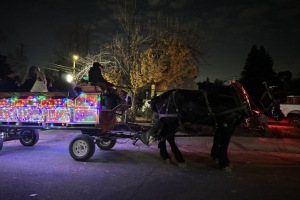 Carriage Ride