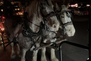 Carriage Ride