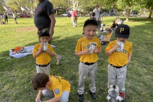 Will's Tee-Ball Game