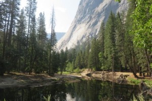 Yosemite ~ July 2021